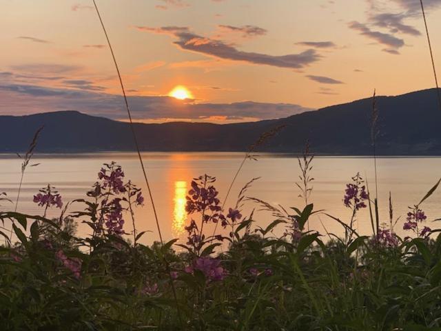 Bed And Breakfast Nordic Horn Brostadbotn Экстерьер фото