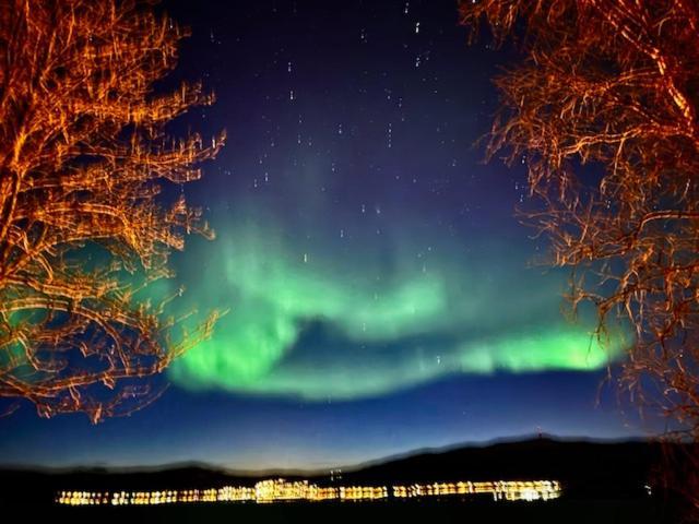 Bed And Breakfast Nordic Horn Brostadbotn Экстерьер фото